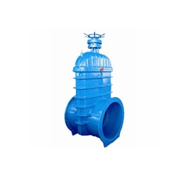 RVHX 暗桿彈性座封閘閥