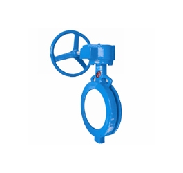 D372X(WBGX)對夾偏心蝶閥